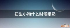 初生小狗什么时候喂奶
