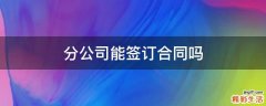 分公司能签订合同吗