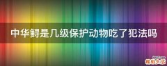 中华鲟是几级保护动物吃了犯法吗