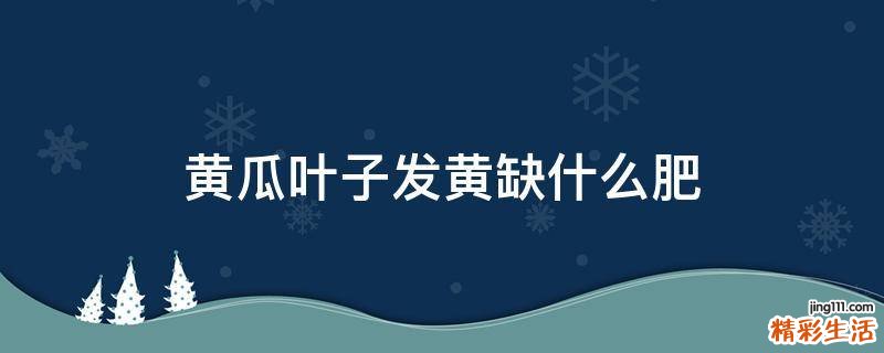 黄瓜叶子发黄缺什么肥