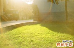 老人交朋友要注意什么