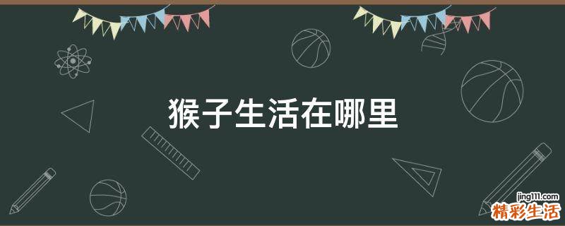 猴子生活在哪里