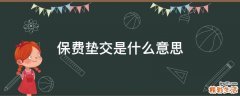 保费垫交是什么意思