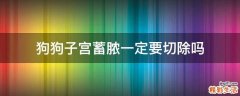 狗狗子宫蓄脓一定要切除吗