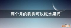 两个月的狗狗可以吃水果吗
