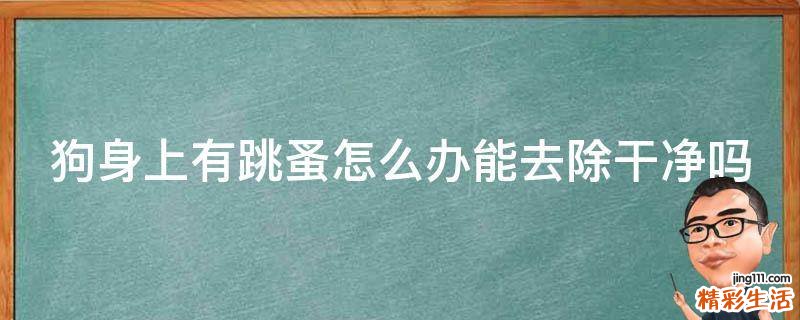 狗身上有跳蚤怎么办能去除干净吗