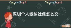 深圳个人缴纳社保怎么交