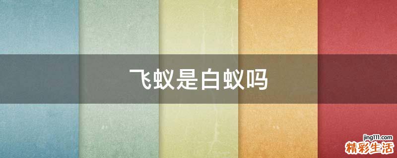 飞蚁是白蚁吗