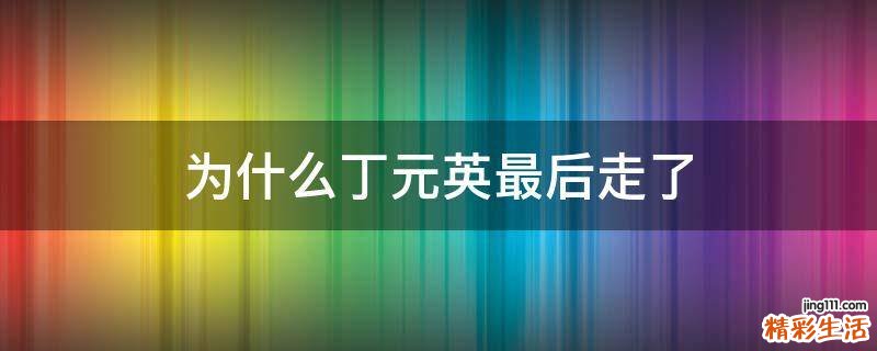 为什么丁元英最后走了