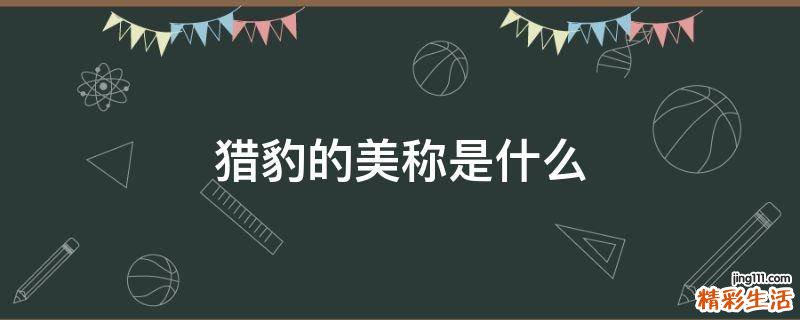猎豹的美称是什么