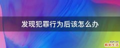 发现犯罪行为后该怎么办