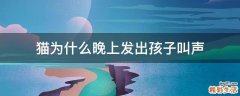 猫为什么晚上发出孩子叫声