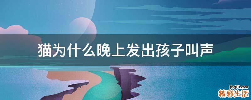 猫为什么晚上发出孩子叫声