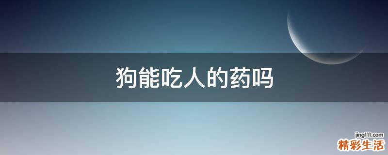 狗能吃人的药吗