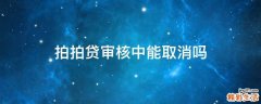 拍拍贷审核中能取消吗