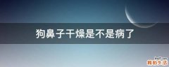 狗鼻子干燥是不是病了