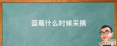 蓝莓什么时候采摘