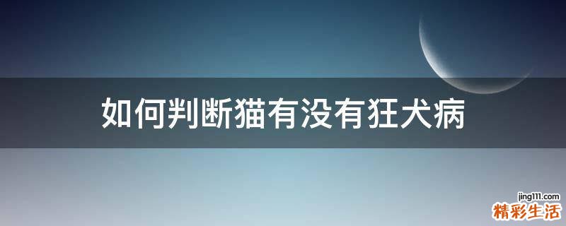 如何判断猫有没有狂犬病