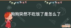 狗狗突然不吃饭了是怎么了