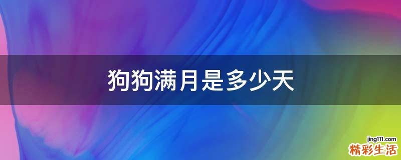 狗狗满月是多少天
