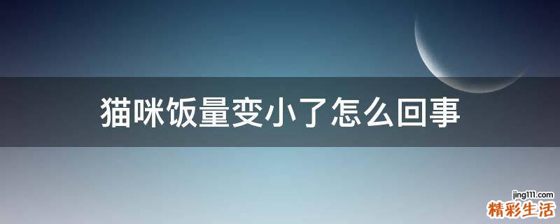 猫咪饭量变小了怎么回事