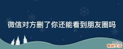 微信对方删了你还能看到朋友圈吗