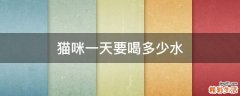 猫咪一天要喝多少水