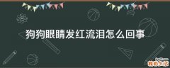 狗狗眼睛发红流泪怎么回事