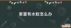 家里有水蚁怎么办