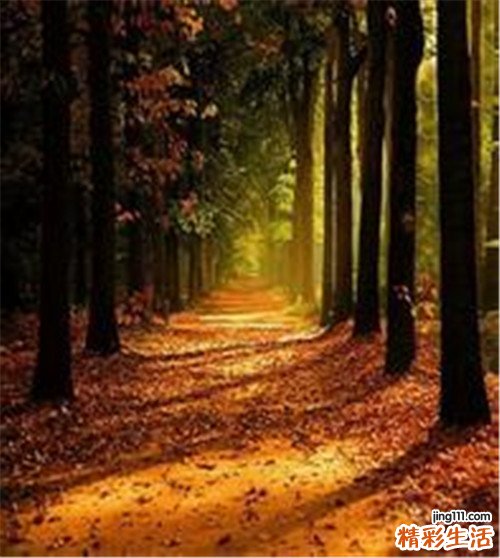 糖尿病小儿可用胰岛素泵