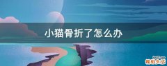 小猫骨折了怎么办