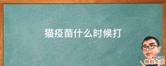 猫疫苗什么时候打