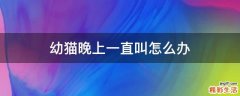 幼猫晚上一直叫怎么办