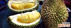 吃了茄子能吃榴莲吗 茄子和榴莲一起吃有什么好处