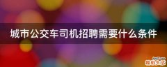 城市公交车司机招聘需要什么条件