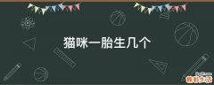 猫咪一胎生几个