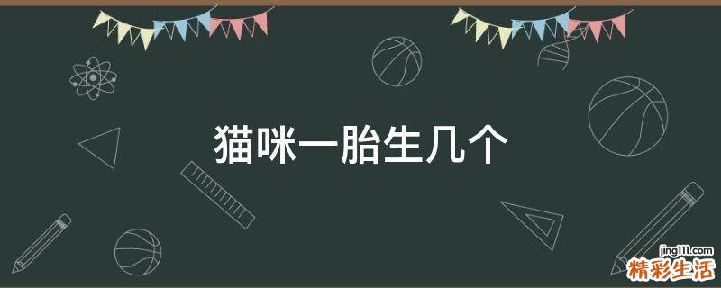 猫咪一胎生几个