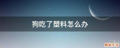狗吃了塑料怎么办