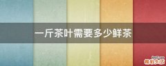 一斤茶叶需要多少鲜茶