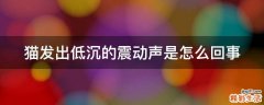 猫发出低沉的震动声是怎么回事