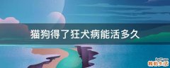 猫狗得了狂犬病能活多久