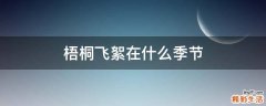 梧桐飞絮在什么季节