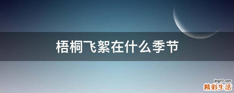 梧桐飞絮在什么季节