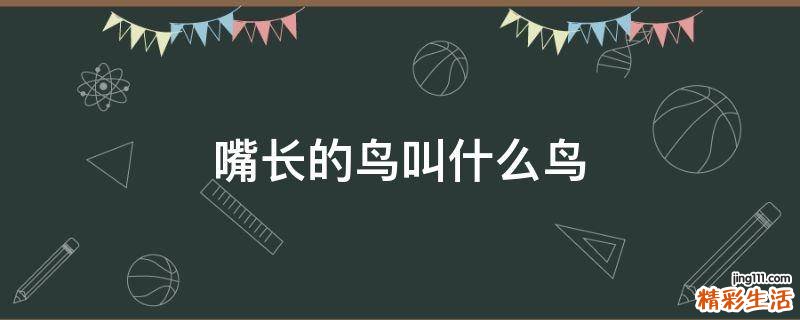 嘴长的鸟叫什么鸟