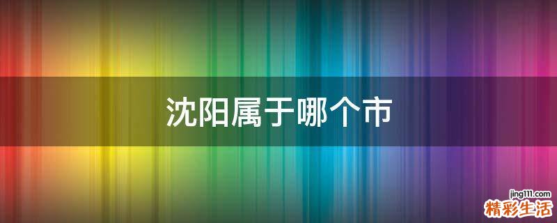 沈阳属于哪个市