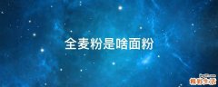 全麦粉是啥面粉
