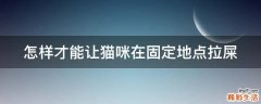 怎样才能让猫咪在固定地点拉屎