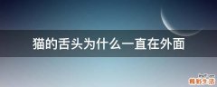 猫的舌头为什么一直在外面
