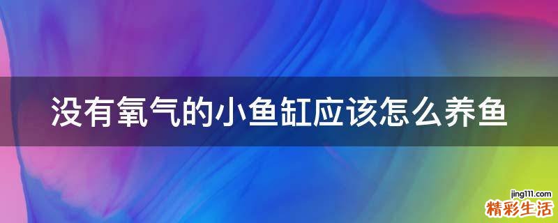 没有氧气的小鱼缸应该怎么养鱼
