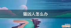 猫凶人怎么办